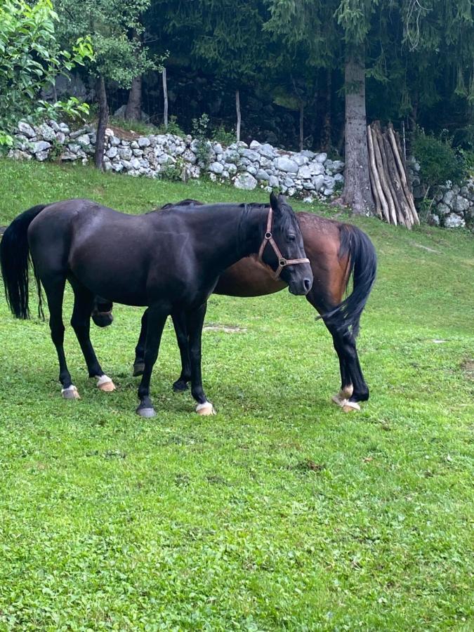Posestvo Tmzek Villa Bovec Bagian luar foto