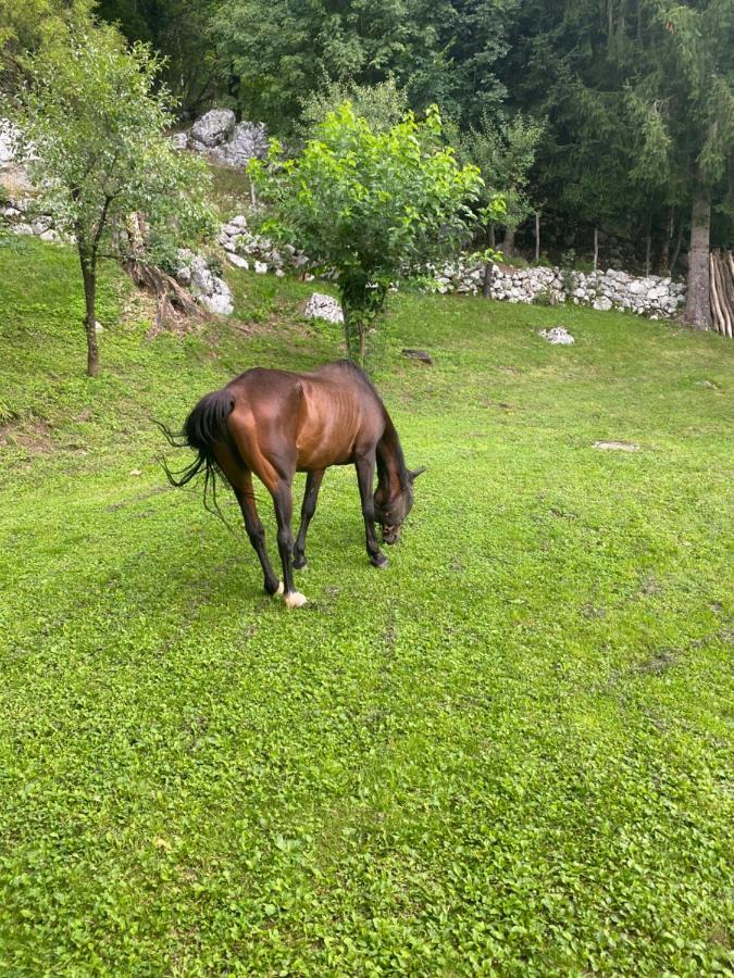 Posestvo Tmzek Villa Bovec Bagian luar foto